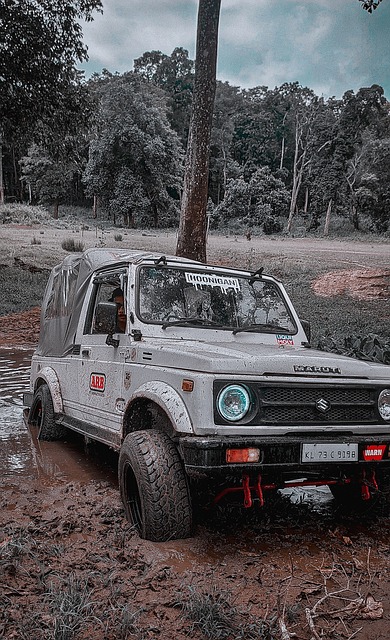 乓赛备受关 乓赛备受关