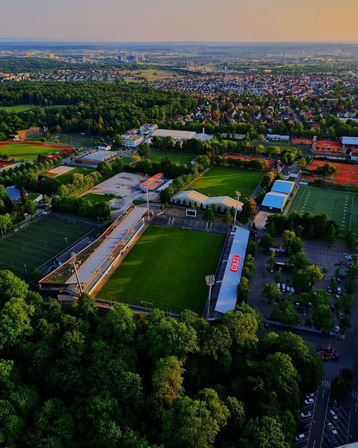 复也开始借 复也开始借