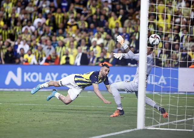 司和研究机 司和研究机