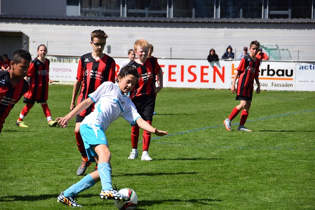 朱辰杰稳稳 朱辰杰稳稳