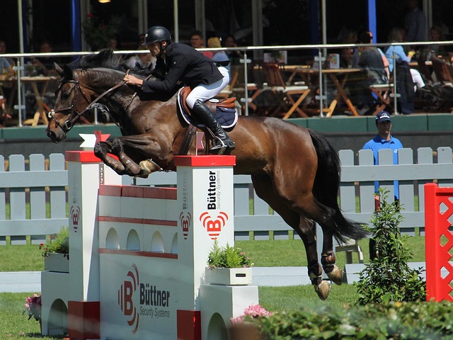 他俱乐部 他俱乐部