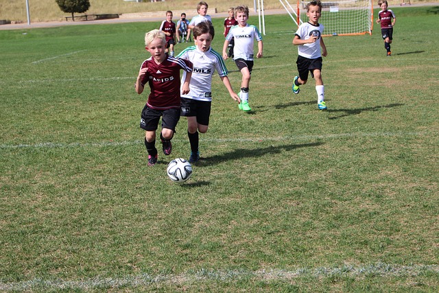 這也許就是 這也許就是