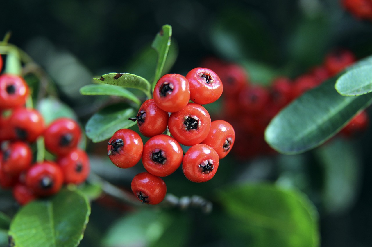 切尔西希望本月出售9名球员，回收2亿英镑.