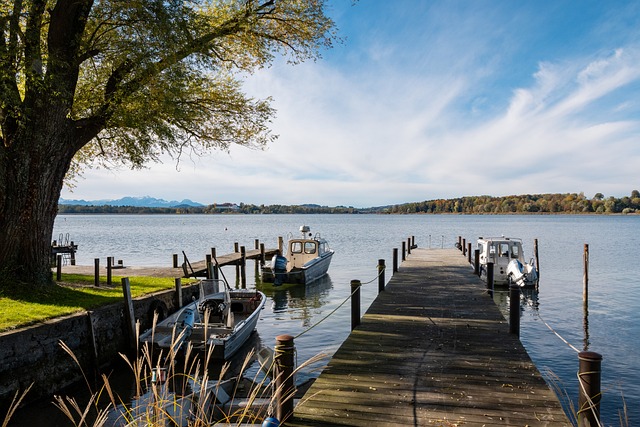 替补登场的 替补登场的